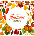 autumn poster with frame of fall season nature vector image
