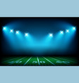illuminated american football stadium vector image