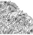 tropical outline pattern vector image