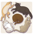 collection cute cartoon cats in various poses vector image