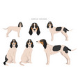 ariege hound clipart different poses coat colors vector image vector image
