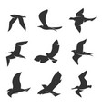 set silhouettes birds in motion on a white vector image vector image