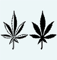 marijuana vector image