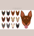 australian kelpie all colours clipart different vector image vector image
