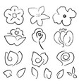 hand drawn black flowers and leaves set vector image