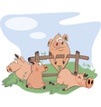 little pigs cartoon vector image