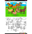 horses farm animal characters group color book vector image vector image