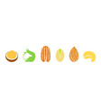 nut vector image vector image