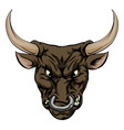 bull mascot character vector image vector image