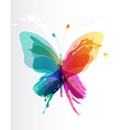 colorful butterfly created from splash and colored vector image