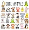 set cute animals vector image