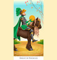 knight of pentacles vector image vector image