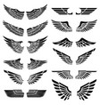 set of the wings isolated on white background vector image