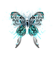 butterfly vector image vector image