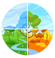 four seasons landscape with forest vector image