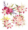 set of floral designs in watercolor style vector image