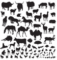 silhouettes of animals vector image