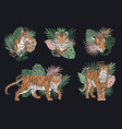 set of silhouette tiger with palm vector image vector image