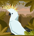 flat geometric jungle background with cockatoo vector image