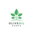 abstract crops olive oil logo icon template vector image