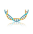 dna chain with curve science colorful icon vector image