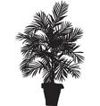 palm tree silhouetter vector image