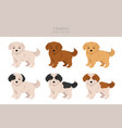 eskapoo clipart eskimo dog poodle mix different vector image vector image