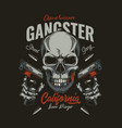 skull bandit vector image