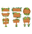 jungle wooden signboards wood board with tropic vector image vector image