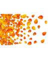 autumn golden leaf frame template tree fallen vector image