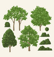 park trees colorful set stickers vector image vector image