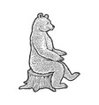 bear sits on tree stump sketch vector image