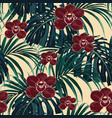 burgundy orchid flower and green exotic palm vector image