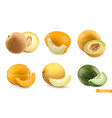 melons sweet fruits 3d realistic icon set vector image vector image