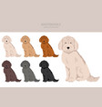 mastidoodle clipart mastiff poodle mix different vector image vector image