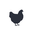 hen chicken black white silhouette chicken vector image