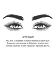female eyes sketch background vector image vector image