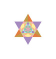 flower life symbol merkaba sacred geometry logo vector image