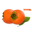 persimmon fruits 3d realistic icon vector image vector image