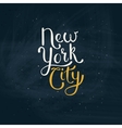 new york city concept on green board vector image