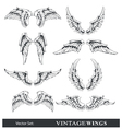 set of wings vector image