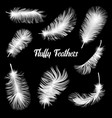 realistic fluffy feathers falling twirled plumage vector image vector image