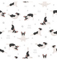 yoga dogs poses and exercises french bulldog vector image