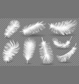 realistic fluffy feathers falling twirled plumage vector image vector image