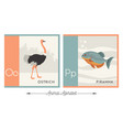 animal alphabet o for ostrich and p for piranha vector image