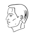 man hairstyle head vector image