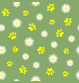 summer seamless pattern with pet paw prints vector image vector image
