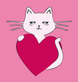 a white cat with pink heart vector image
