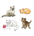 set of pretty kittens eps10 vector image vector image
