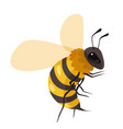 beekeeping and apiary honeybee insect portrait vector image